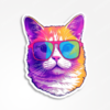 Cat wearing glasses - Sticker